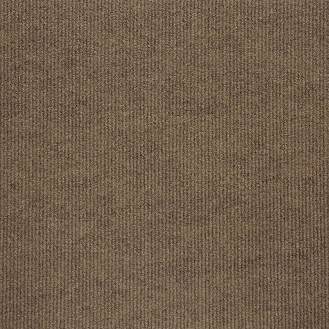 Burmatex Academy Contract Carpet Honey Beige 11534