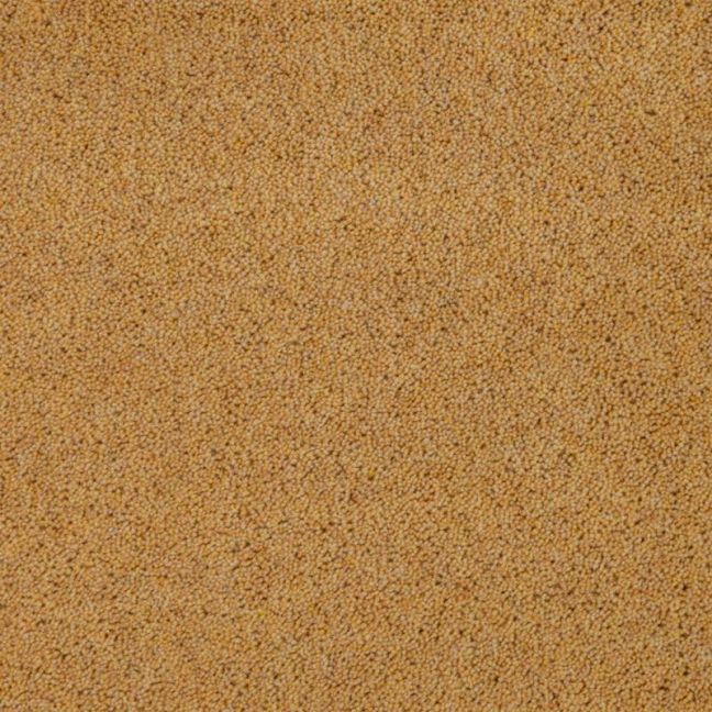Penthouse Carpets Pentwist Colours Buttercup 50oz Penthouse Carpets Pentwist Colours Buttercup 50oz