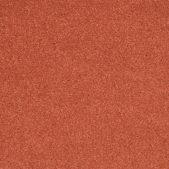 Penthouse Carpets Wentworth Calcot 50oz