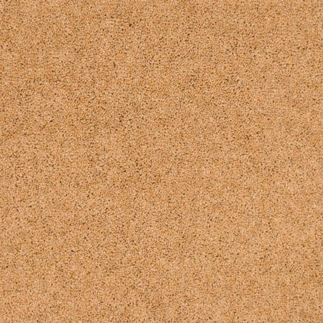 Penthouse Carpets Pentwist Naturals Canvas 50oz Penthouse Carpets Pentwist Naturals Canvas 50oz