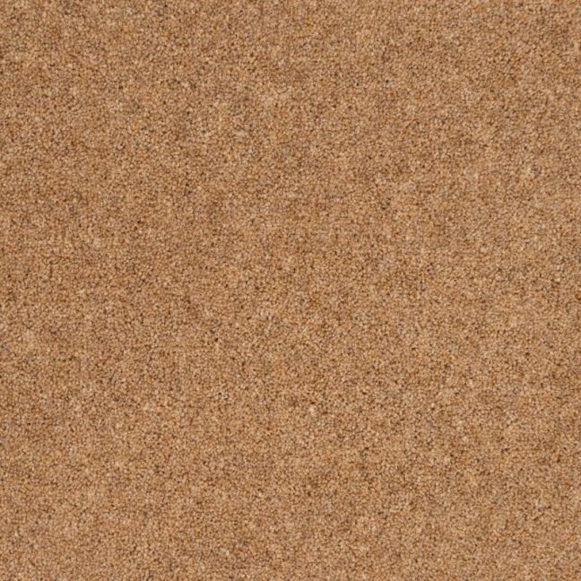 Penthouse Carpets Vermont Carson 40oz