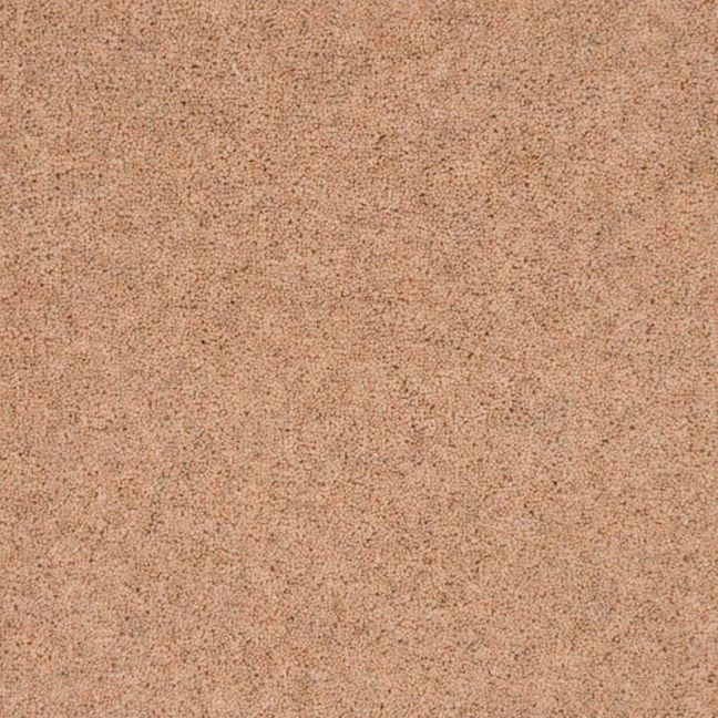 Penthouse Carpets Pentwist Naturals Champagne 40oz