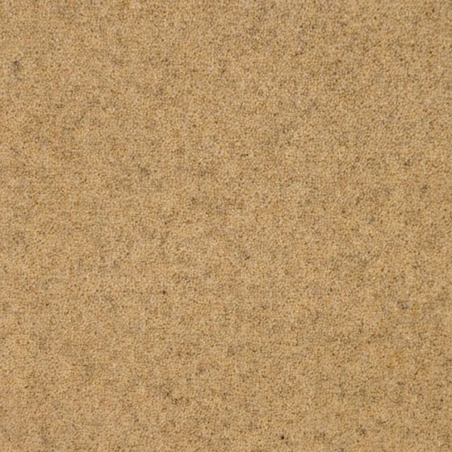 Penthouse Carpets Springtime Cheviot 50oz Penthouse Carpets Springtime Cheviot 50oz