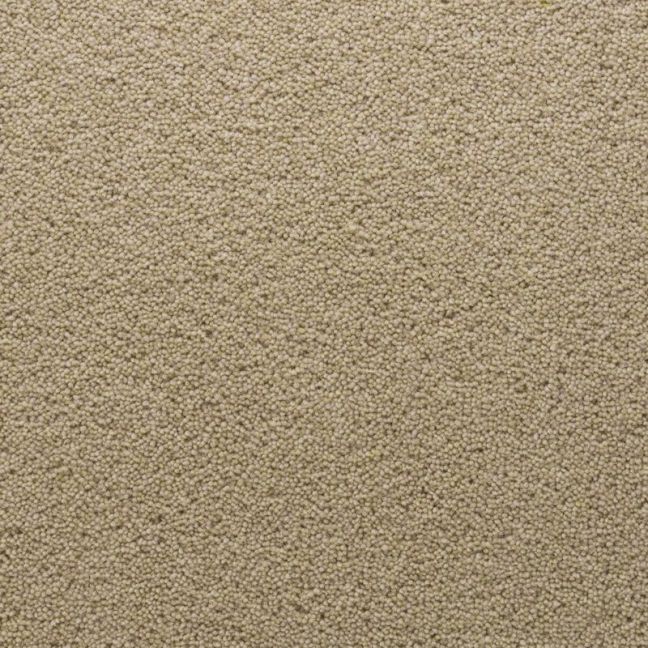 Penthouse Carpets Stateside Chicago 40oz Penthouse Carpets Stateside Chicago 40oz