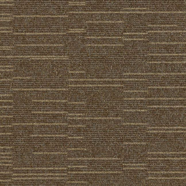Paragon Elemental Collection Cloudburst Starfield Shower 102194 Paragon Elemental Collection Cloudburst Starfield Shower 102194