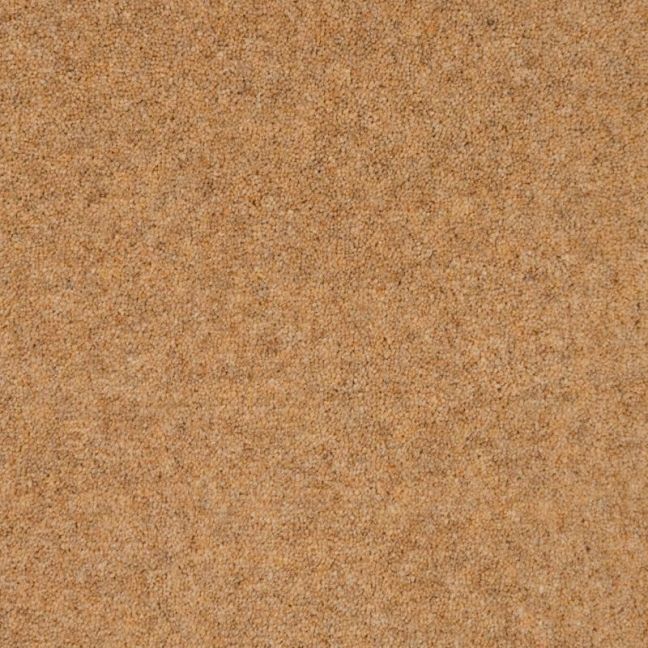 Penthouse Carpets Shoreline Cockleshell 40oz Penthouse Carpets Shoreline Cockleshell 40oz