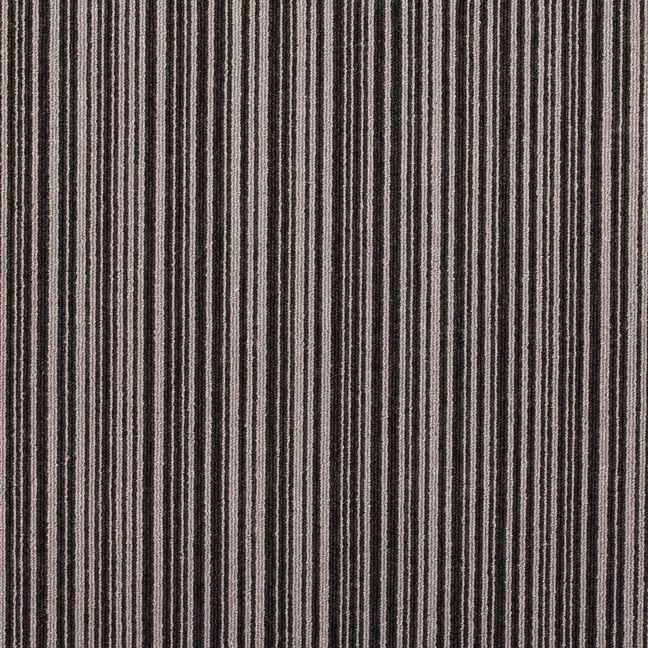 Paragon Codec Carpet Tile Binary