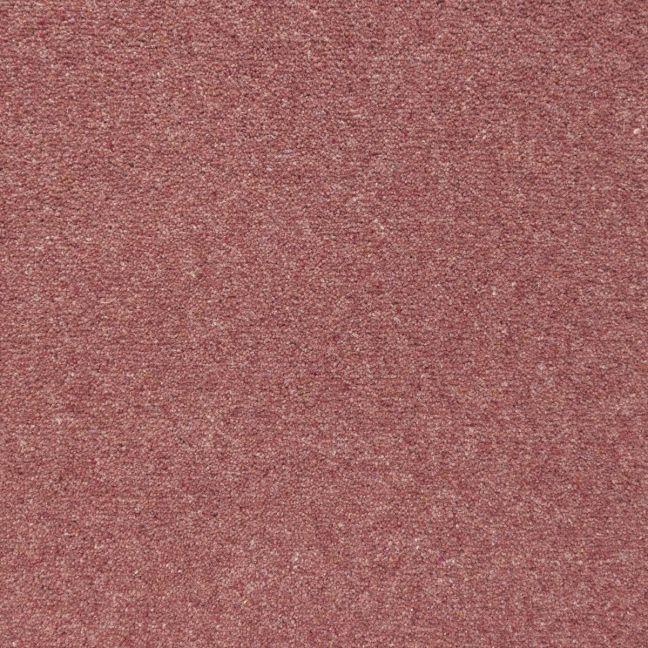 Penthouse Carpets Shoreline Coral 40oz