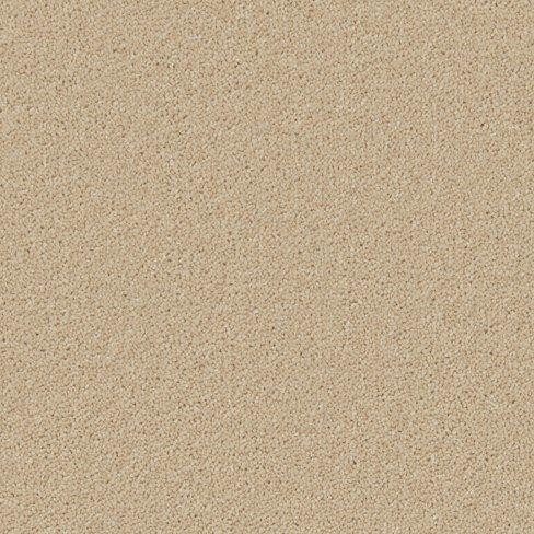 Cormar Carpet Co Hampstead Deluxe Fossil