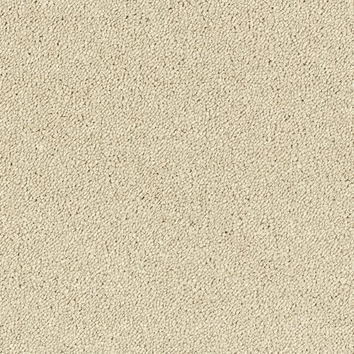 Abingdon Carpets Stainfree Sophisticat Cotton Abingdon Carpets Stainfree Sophisticat Cotton