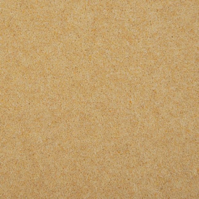 Penthouse Carpets Esprit Nouveau Curlew 60oz