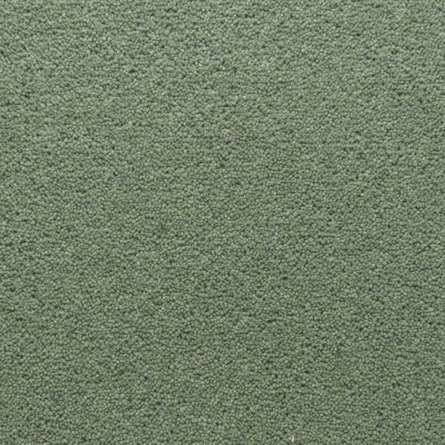 Penthouse Carpets Stateside Dakota 40oz Penthouse Carpets Stateside Dakota 40oz