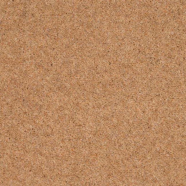Penthouse Carpets Vermont Dallas 40oz