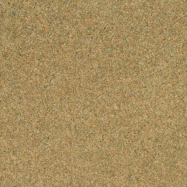 Penthouse Carpets Vermont Denver 40oz