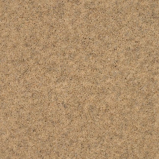 Penthouse Carpets Springtime Dorset Down 40oz Penthouse Carpets Springtime Dorset Down 40oz