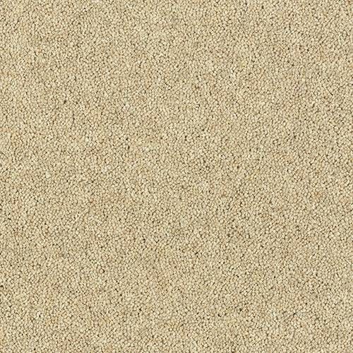 Abingdon Carpets Wilton Royal Royal Charter Deluxe Drop Cloth Abingdon Carpets Wilton Royal Royal Charter Deluxe Drop Cloth