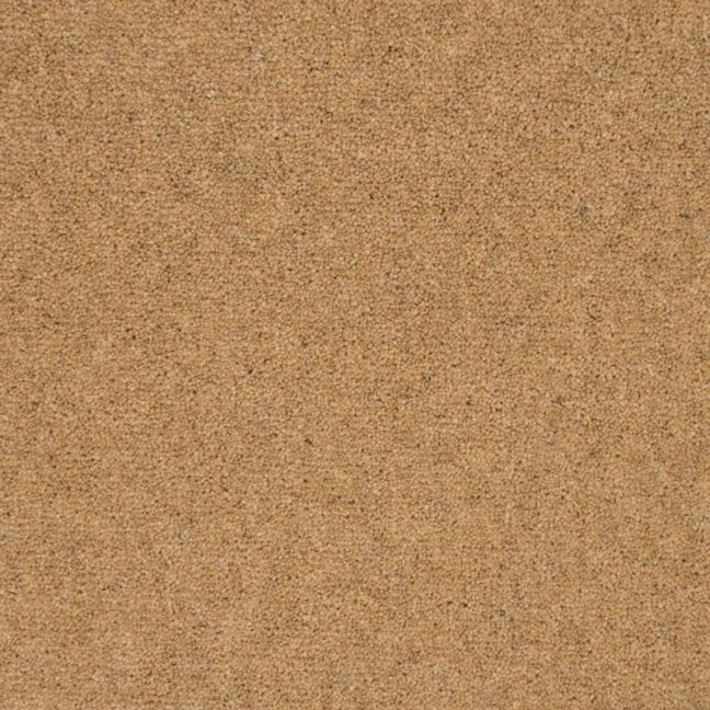 Penthouse Carpets Shoreline Dune 50oz