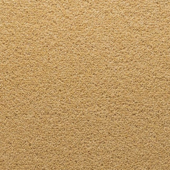 Penthouse Carpets Stateside Ellis 40oz