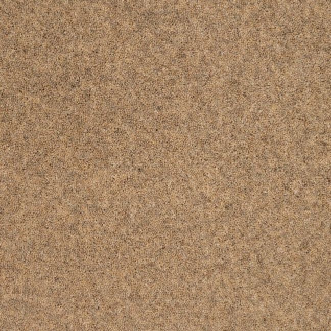 Penthouse Carpets Springtime Exmoor 50oz Penthouse Carpets Springtime Exmoor 50oz