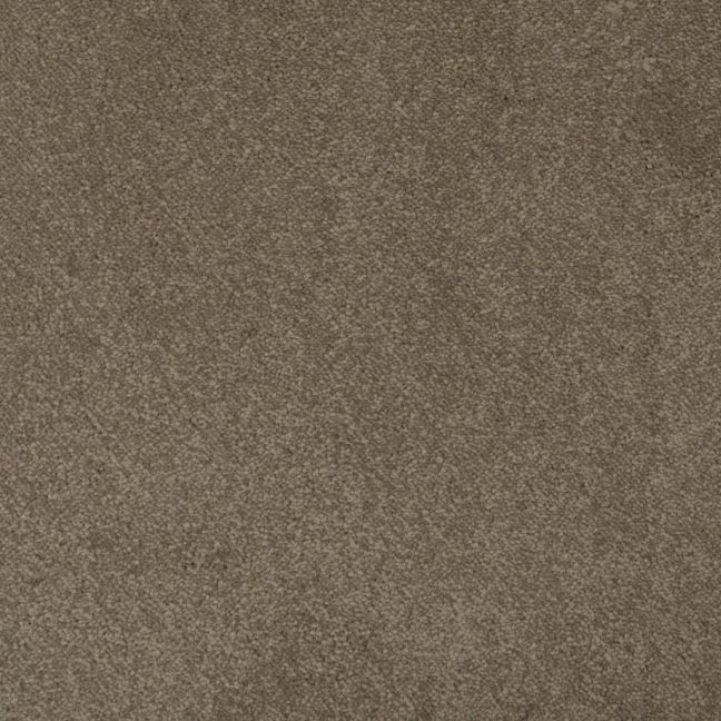 Mayfield Carpets Amorosa Fidelity Mayfield Carpets Amorosa Fidelity