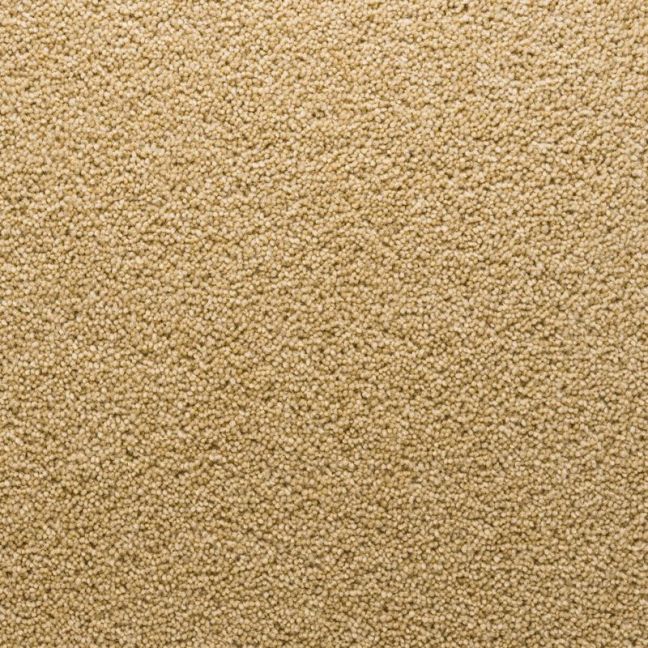 Penthouse Carpets Stateside Florida 40oz Penthouse Carpets Stateside Florida 40oz
