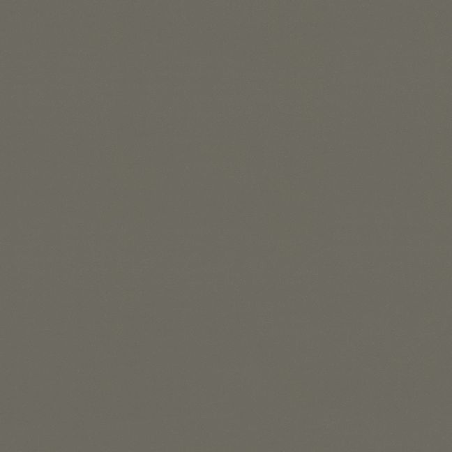 Forbo Heterogeneous Eternal Colour Earth 42482