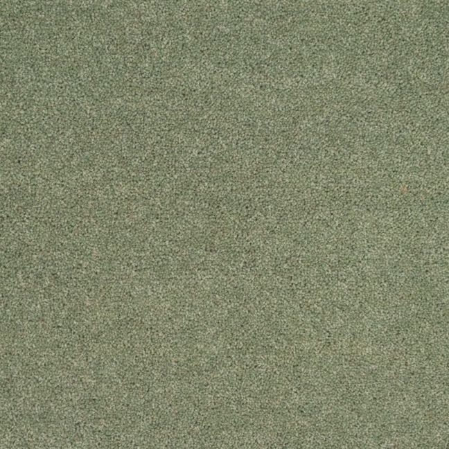 Penthouse Carpets Wentworth Grange 40oz Penthouse Carpets Wentworth Grange 40oz