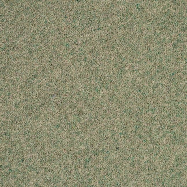 Penthouse Carpets Vermont Greensboro 40oz