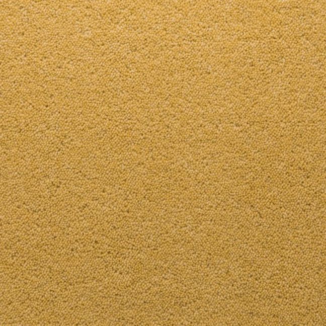 Penthouse Carpets Stateside Hamilton 50oz