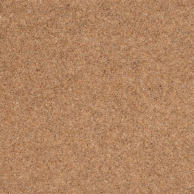 Penthouse Carpets Shoreline Harbour 50oz