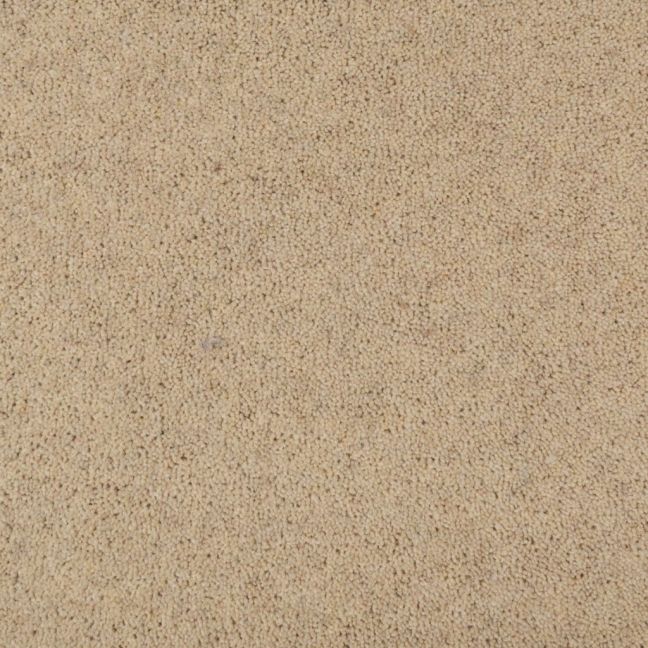 Penthouse Carpets Seasons Harvest Penthouse Carpets Seasons Harvest