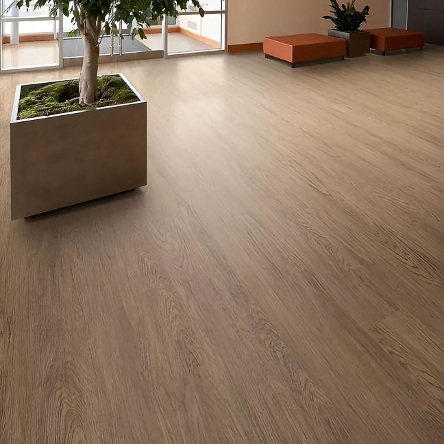 Polyflor Affinity255 Hazel Oak 9879 Polyflor Affinity255 Hazel Oak 9879