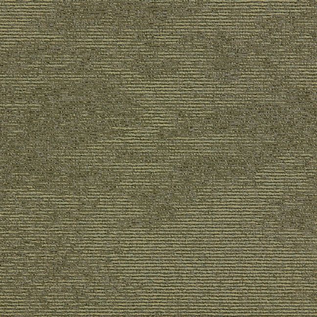 Paragon Elemental Collection Heathstar Rustic Moss 501242 Paragon Elemental Collection Heathstar Rustic Moss 501242