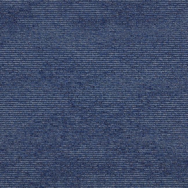 Paragon Elemental Collection Heathstar Wildflower Blue 612152