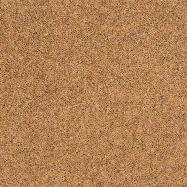 Penthouse Carpets Springtime Herdwick 40oz Penthouse Carpets Springtime Herdwick 40oz