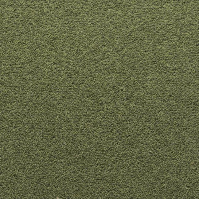 Penthouse Carpets Stateside Houston 50oz