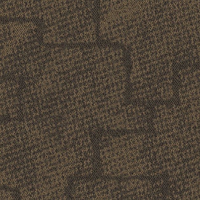 Paragon Inspiration Collection Mesh Carpet Tile Burly Wood Paragon Inspiration Collection Mesh Carpet Tile Burly Wood