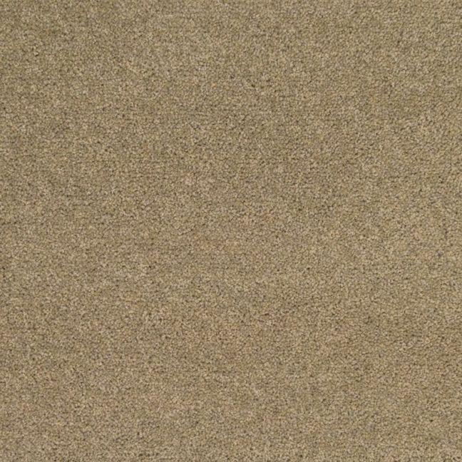 Penthouse Carpets Wentworth Iver 40oz Penthouse Carpets Wentworth Iver 40oz