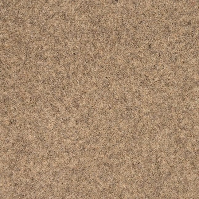 Penthouse Carpets Springtime Jacob 40oz