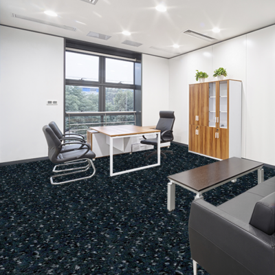 JHS Epsom SD Cut Carpet 279 Dark Grey JHS Epsom SD Cut Carpet 279 Dark Grey