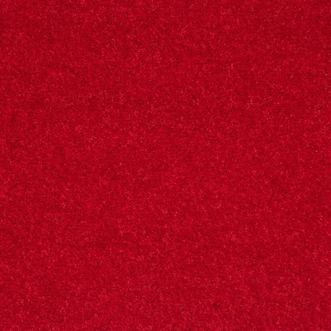 Penthouse Carpets Wentworth Jovian 40oz Penthouse Carpets Wentworth Jovian 40oz