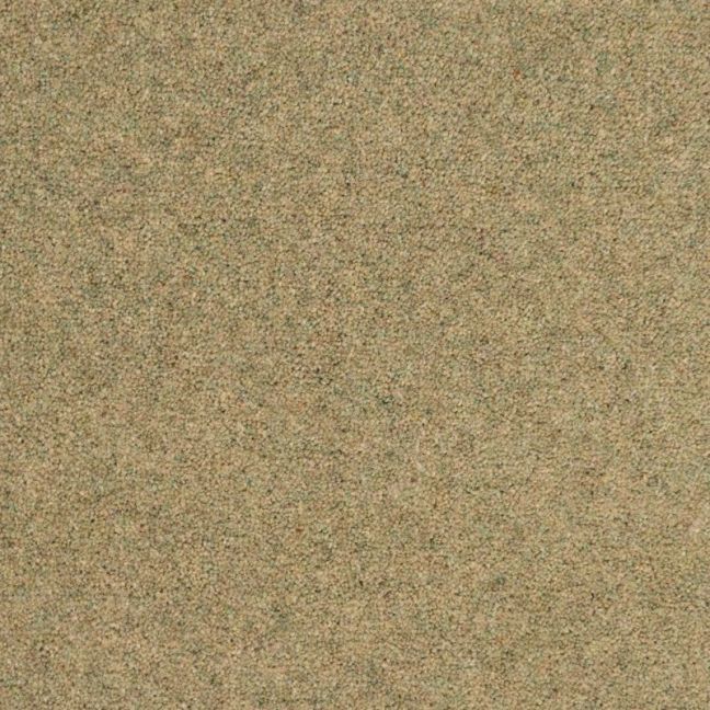 Penthouse Carpets Shoreline Kelp 40oz