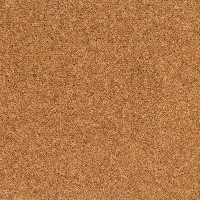 Penthouse Carpets Pentwist Naturals Kernel 50oz
