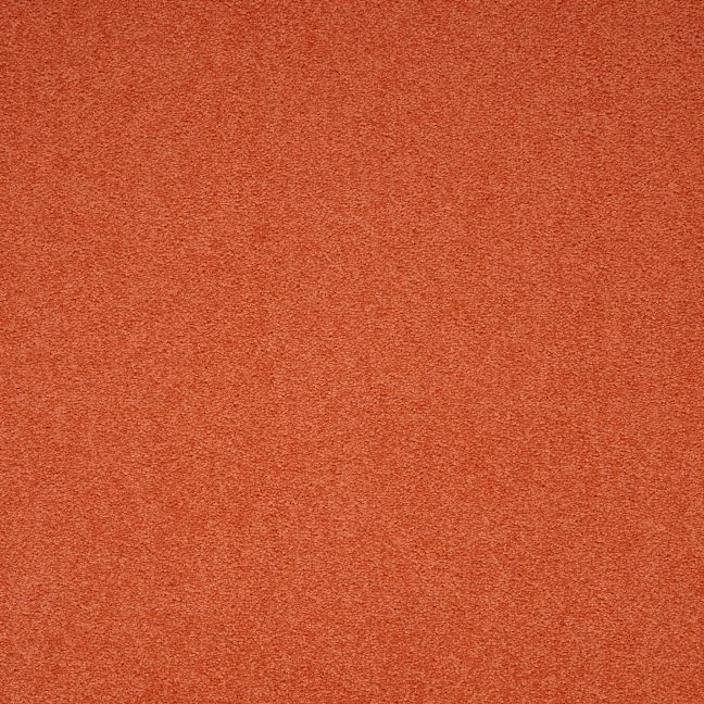 Paragon Maestro Carpet Tile Auburn Falls Paragon Maestro Carpet Tile Auburn Falls