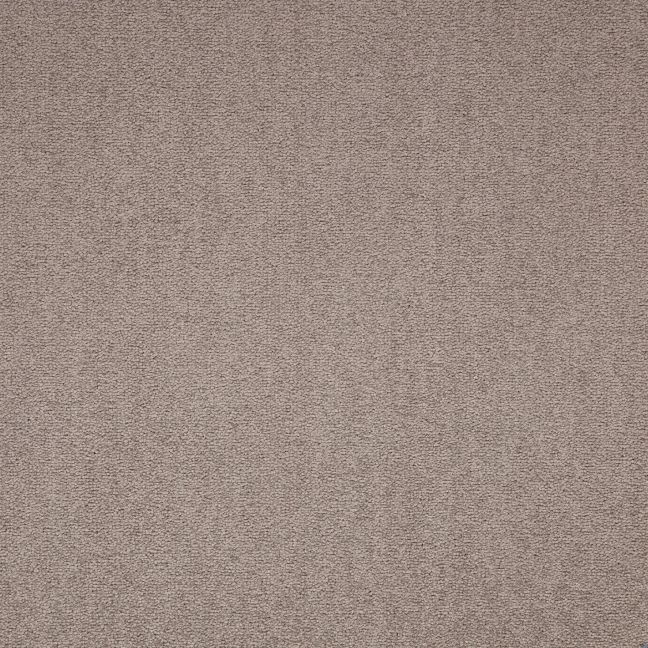 Paragon Maestro Carpet Tile Bracken Salts Paragon Maestro Carpet Tile Bracken Salts