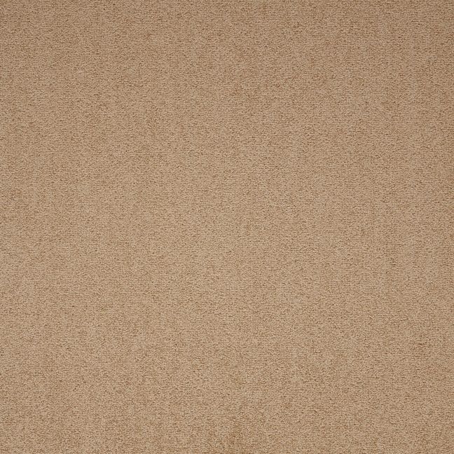 Paragon Maestro Carpet Tile Earth Glaze