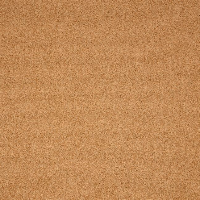 Paragon Maestro Carpet Tile Gold Paragon Maestro Carpet Tile Gold