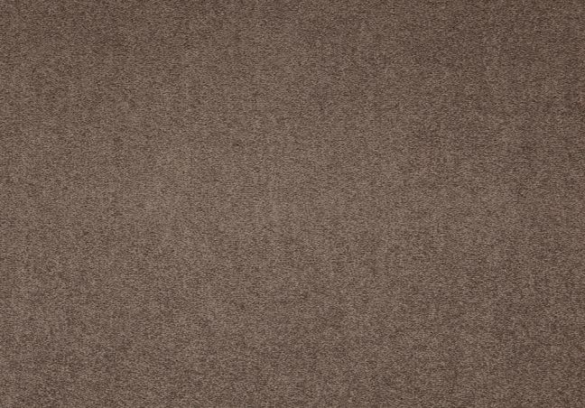Paragon Maestro Carpet Tile Velvet Truffle