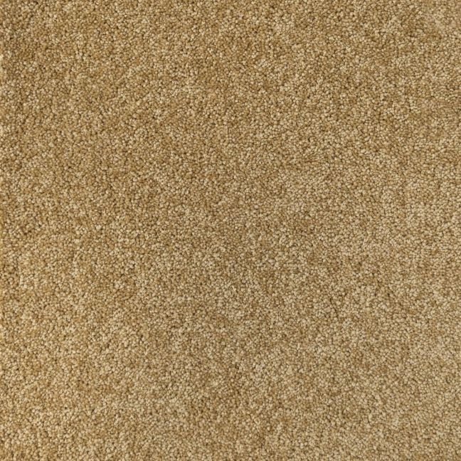 Mayfield Carpets Amorosa Harmony Mayfield Carpets Amorosa Harmony