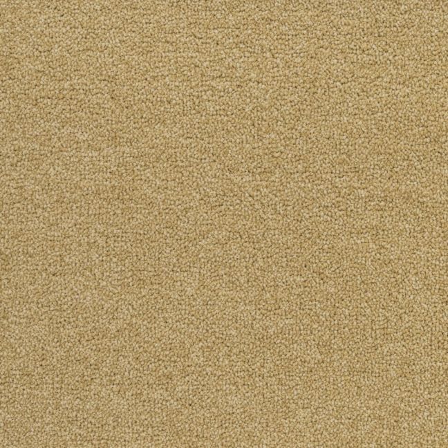 Mayfield Carpets Performance Madeira